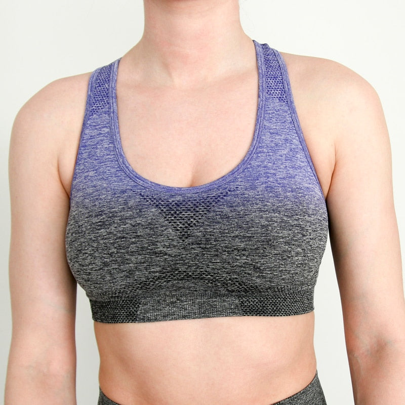 Seamless Sports Bra Gym Fitness Top - reign-aesthetics