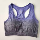 Seamless Sports Bra Gym Fitness Top - reign-aesthetics