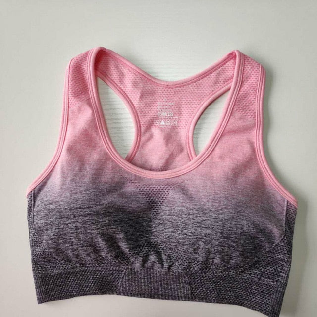 Seamless Sports Bra Gym Fitness Top - reign-aesthetics